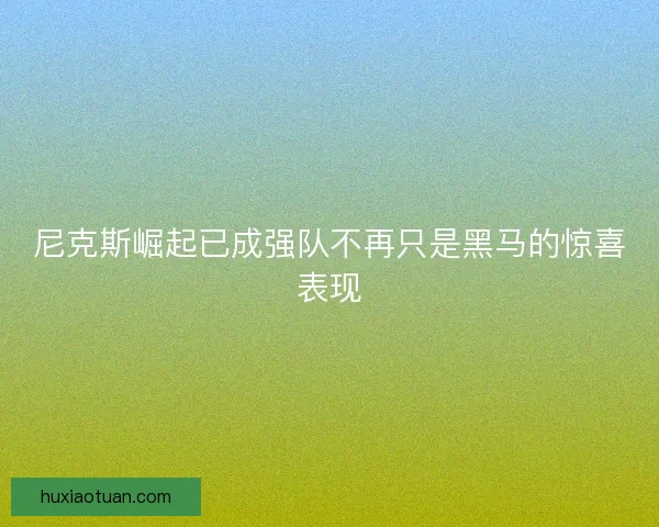尼克斯崛起已成强队不再只是黑马的惊喜表现